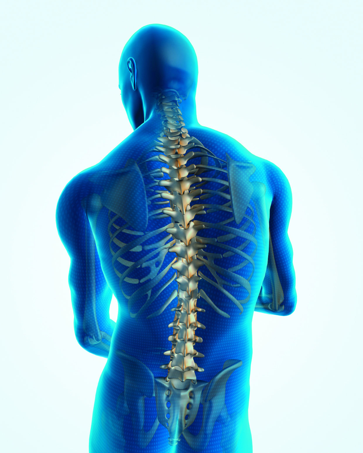 spinal chord prothesis For millions of americans suffering from debilitating nerve pain, a once-overlooked option has emerged as an alternative to high doses of opioids: implanted medical devices using electricity to counteract pain signals the same way noise-canceling headphones work against sound the approach, called. spinal chord prothesis For millions of americans suffering from debilitating nerve pain, a once-overlooked option has emerged as an alternative to high doses of opioids: implanted medical devices using electricity to counteract pain signals the same way noise-canceling headphones work against sound the approach, called.